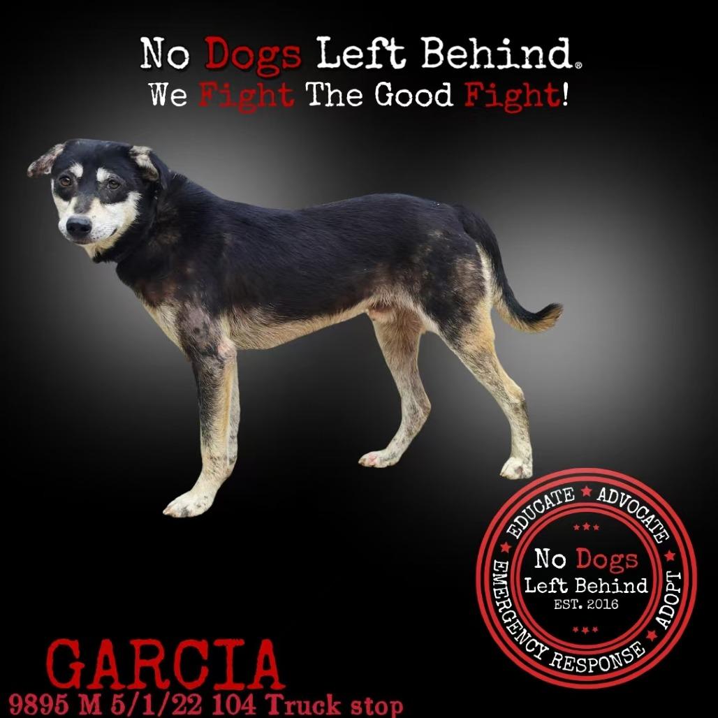 Garcia 9895