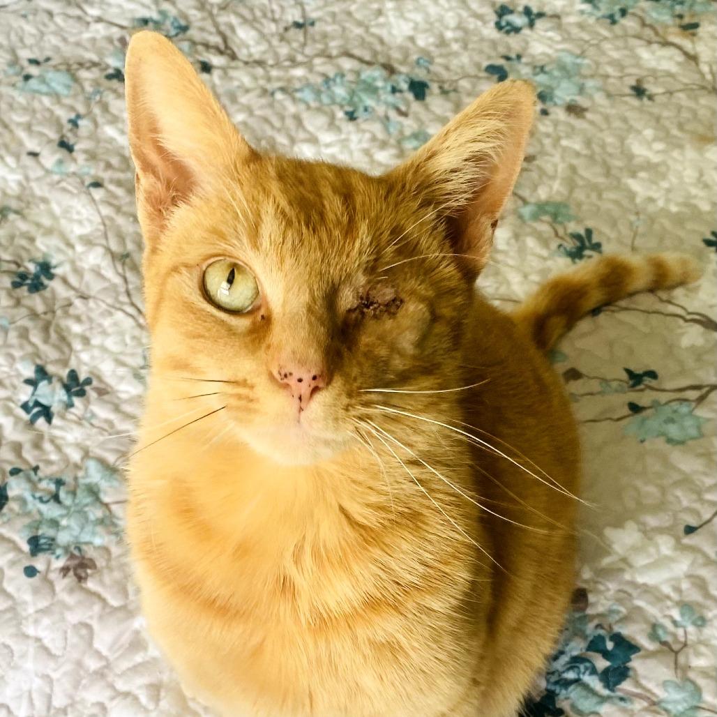 Peaches 