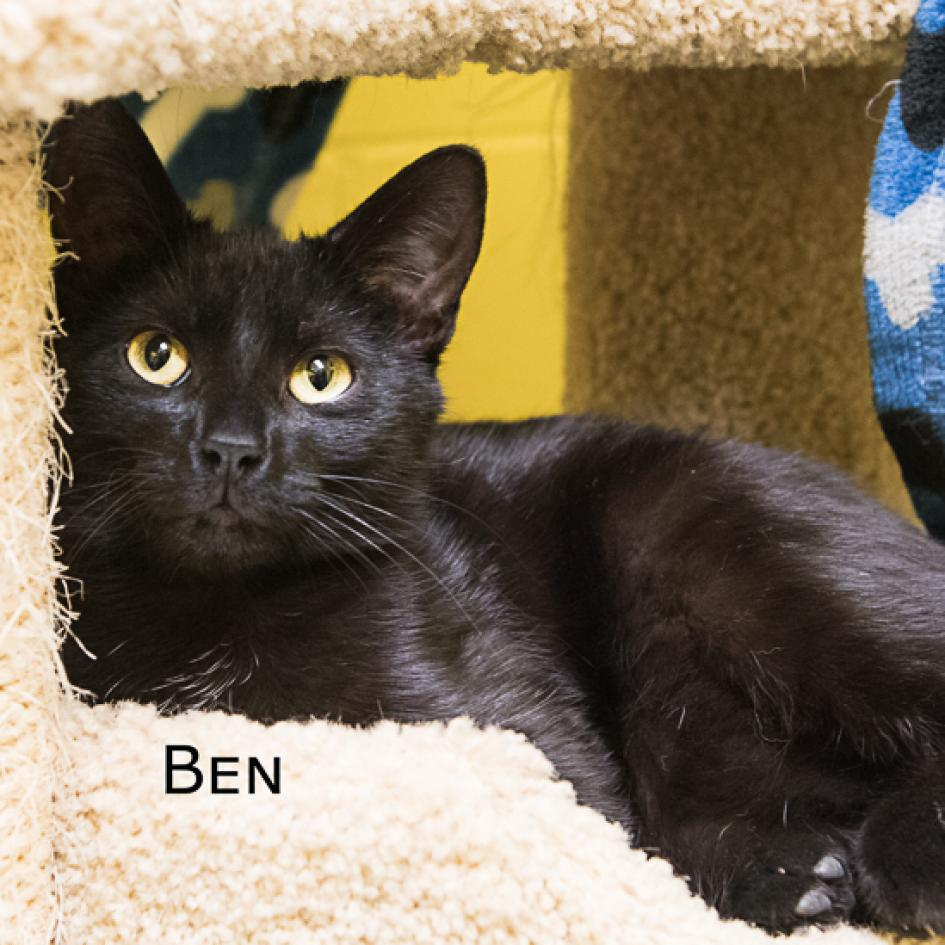 Benny