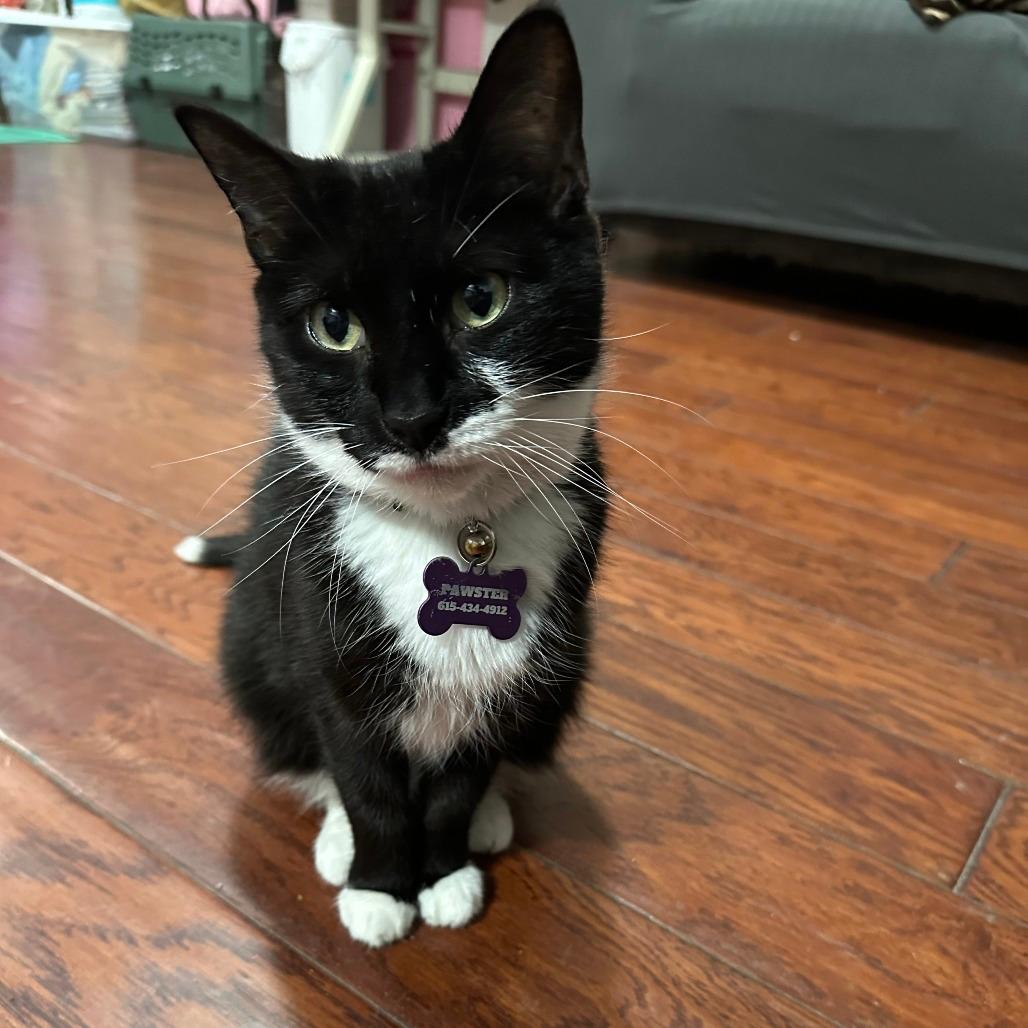 Moviestar (bonded with Baby JonJon)