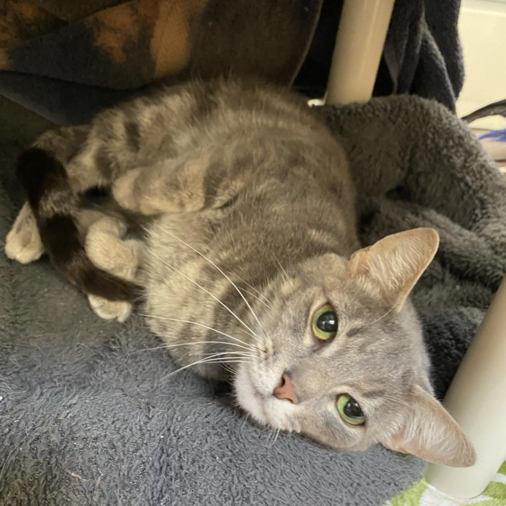Luna