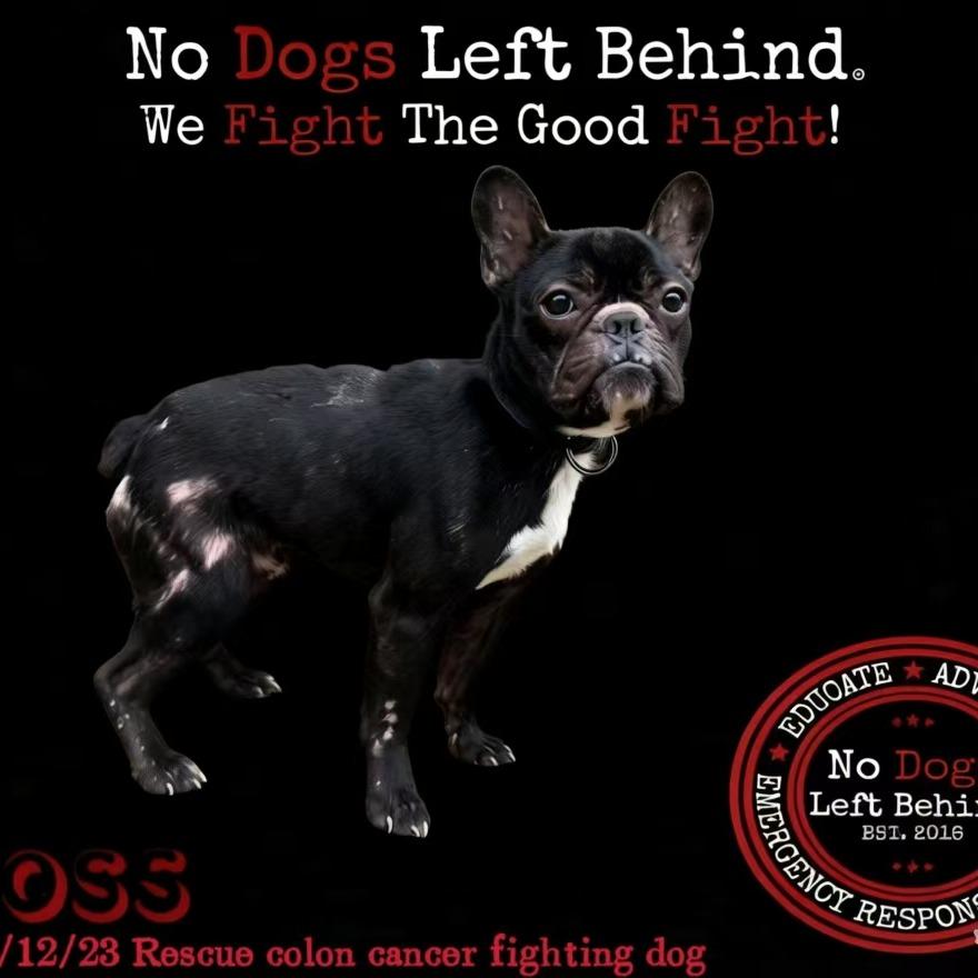 Boss-M-4155