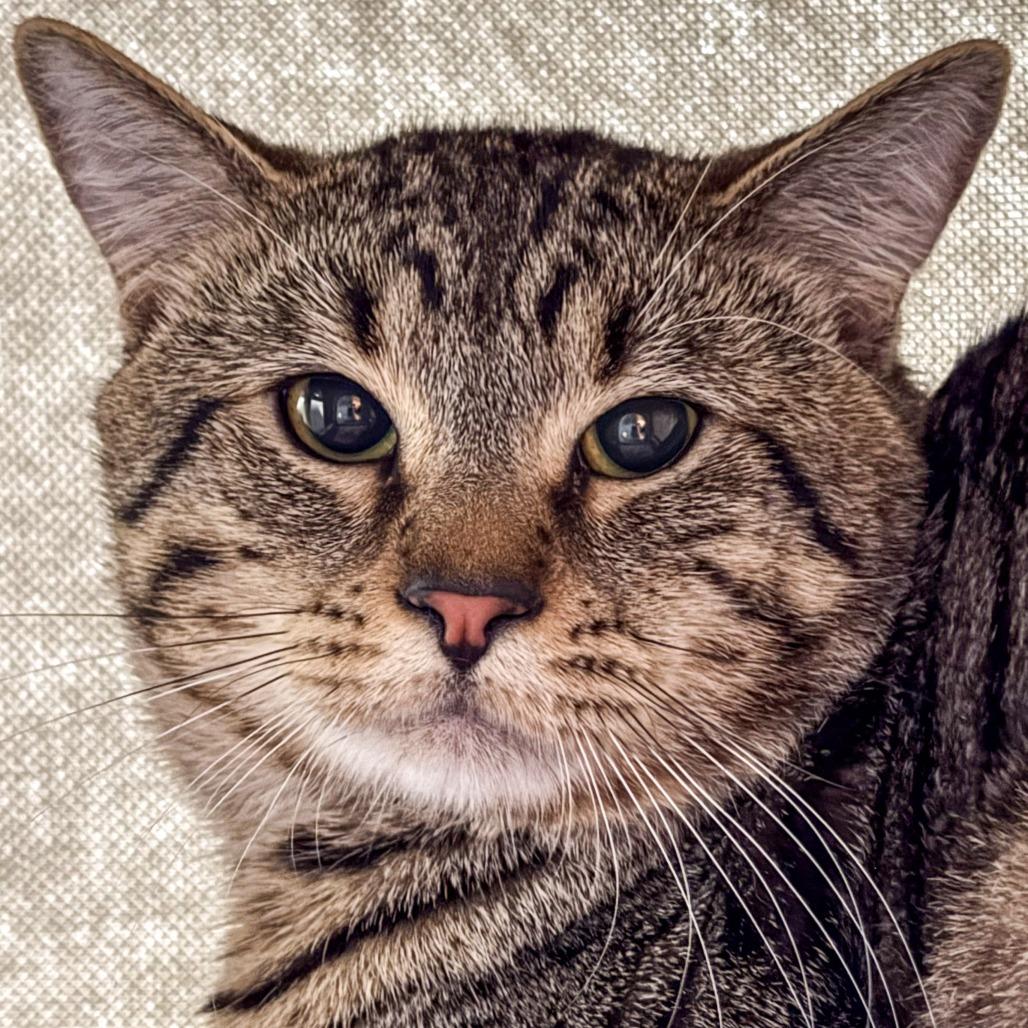 Astro *Bonded w/ Fernandez*