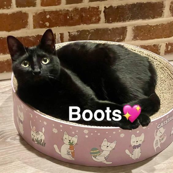 Boots