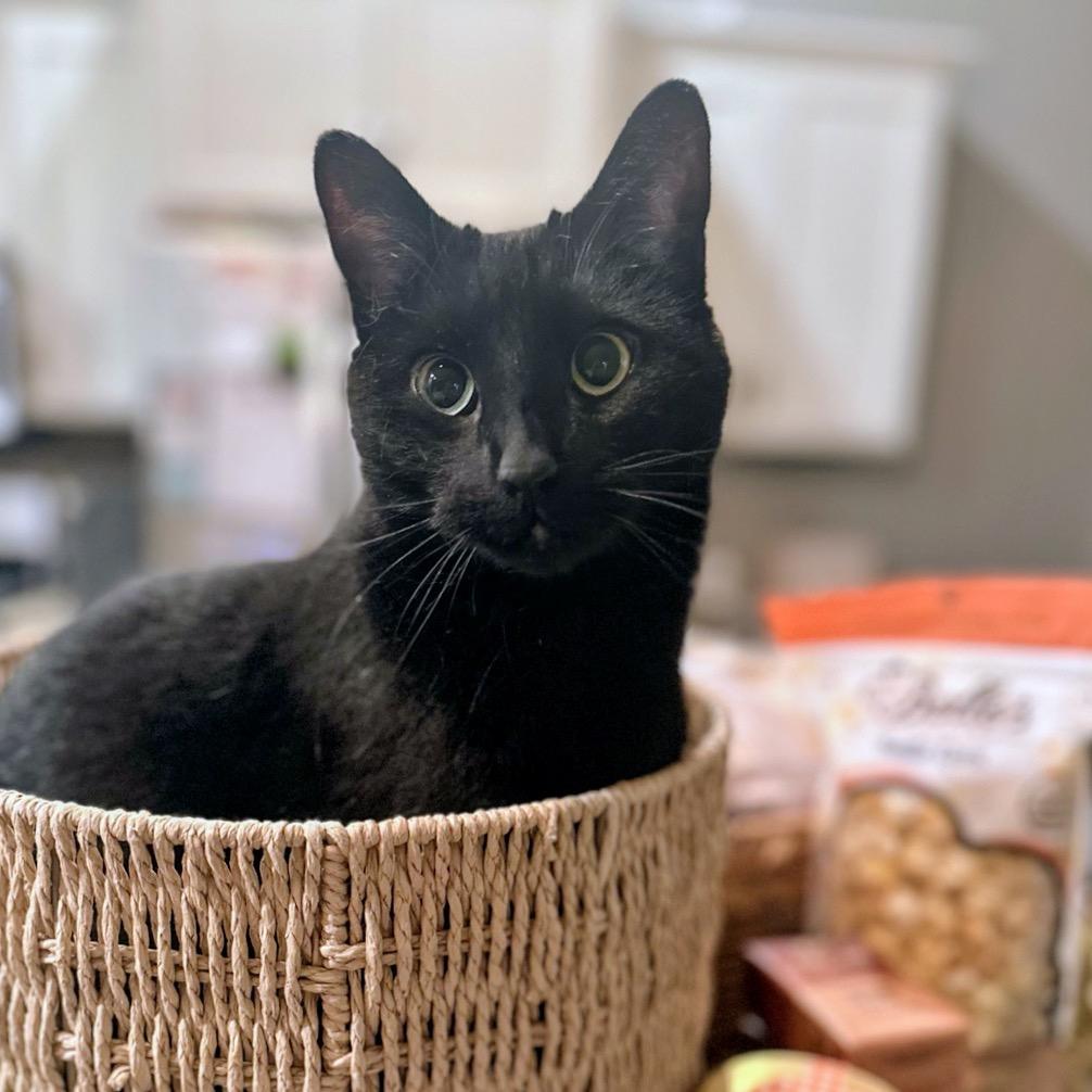 Frankie