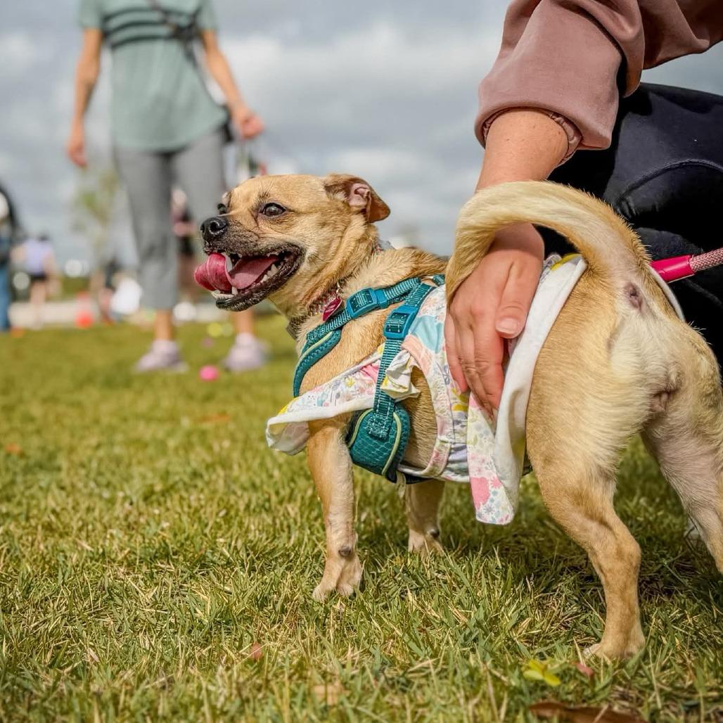 Esther D10880 *Arriving 5/1*