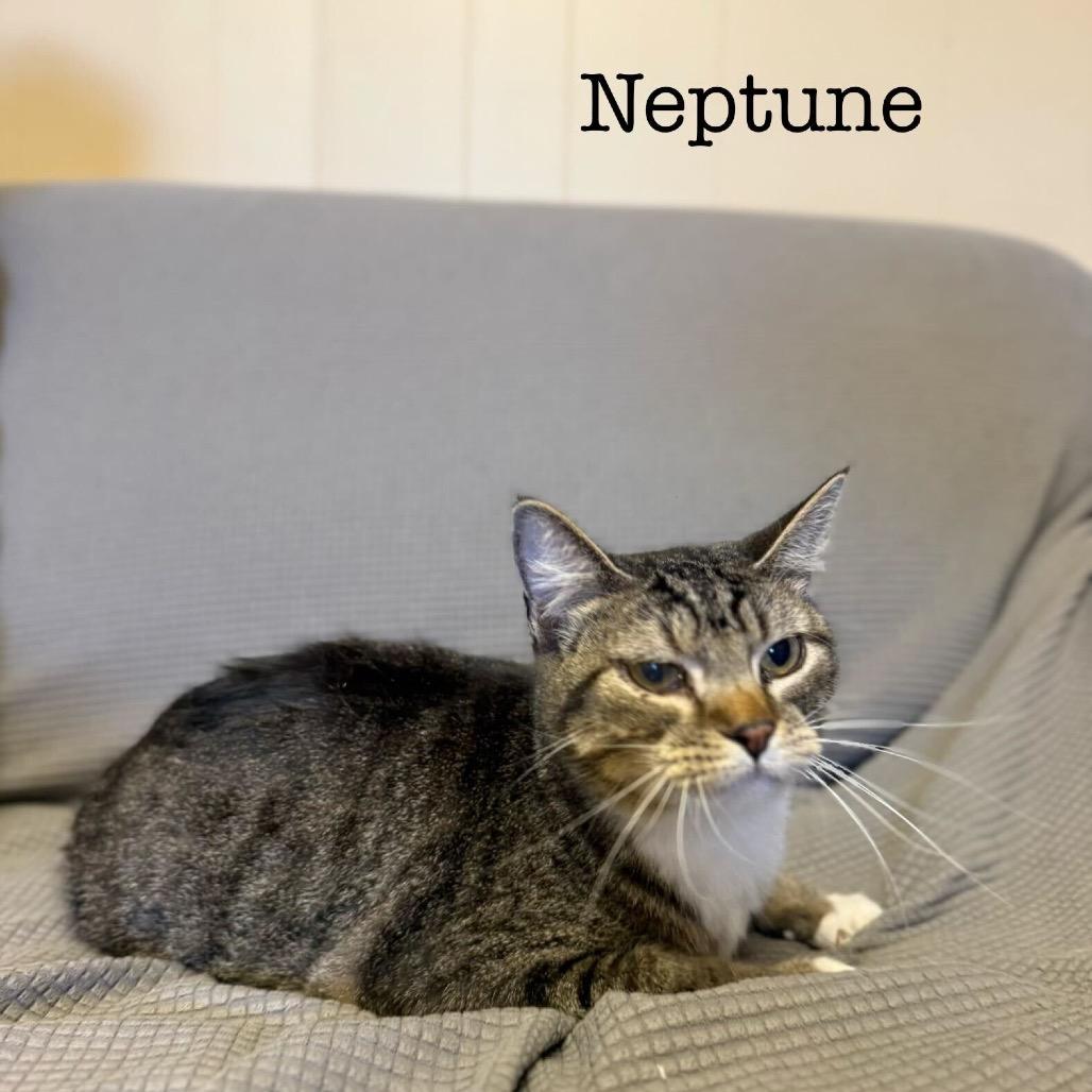 Neptune