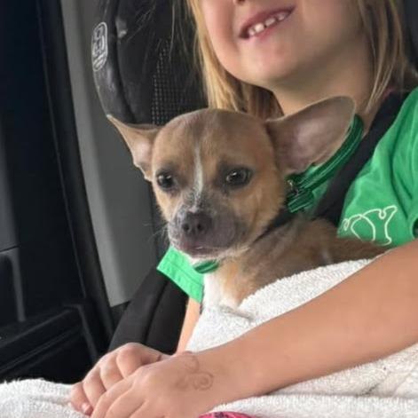 Nudella D10982 *Arriving 5/1