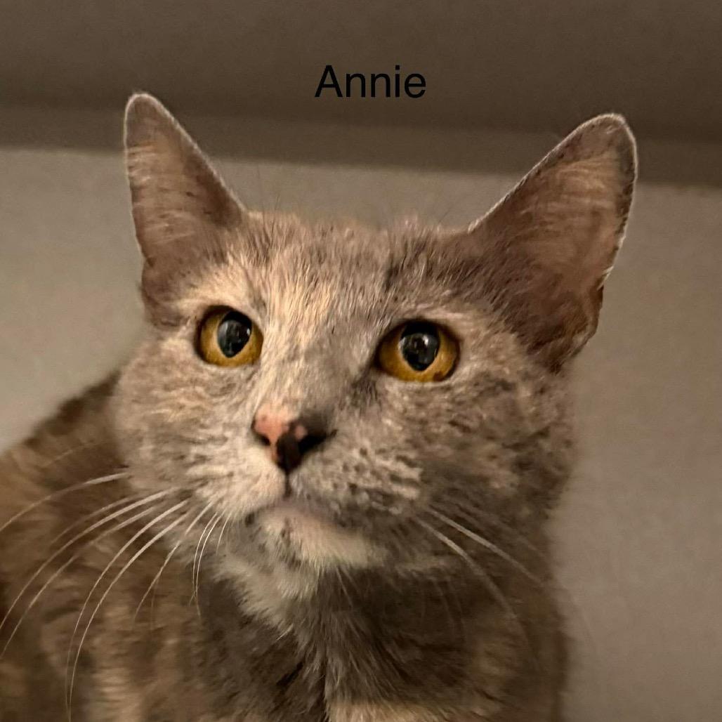 Annie