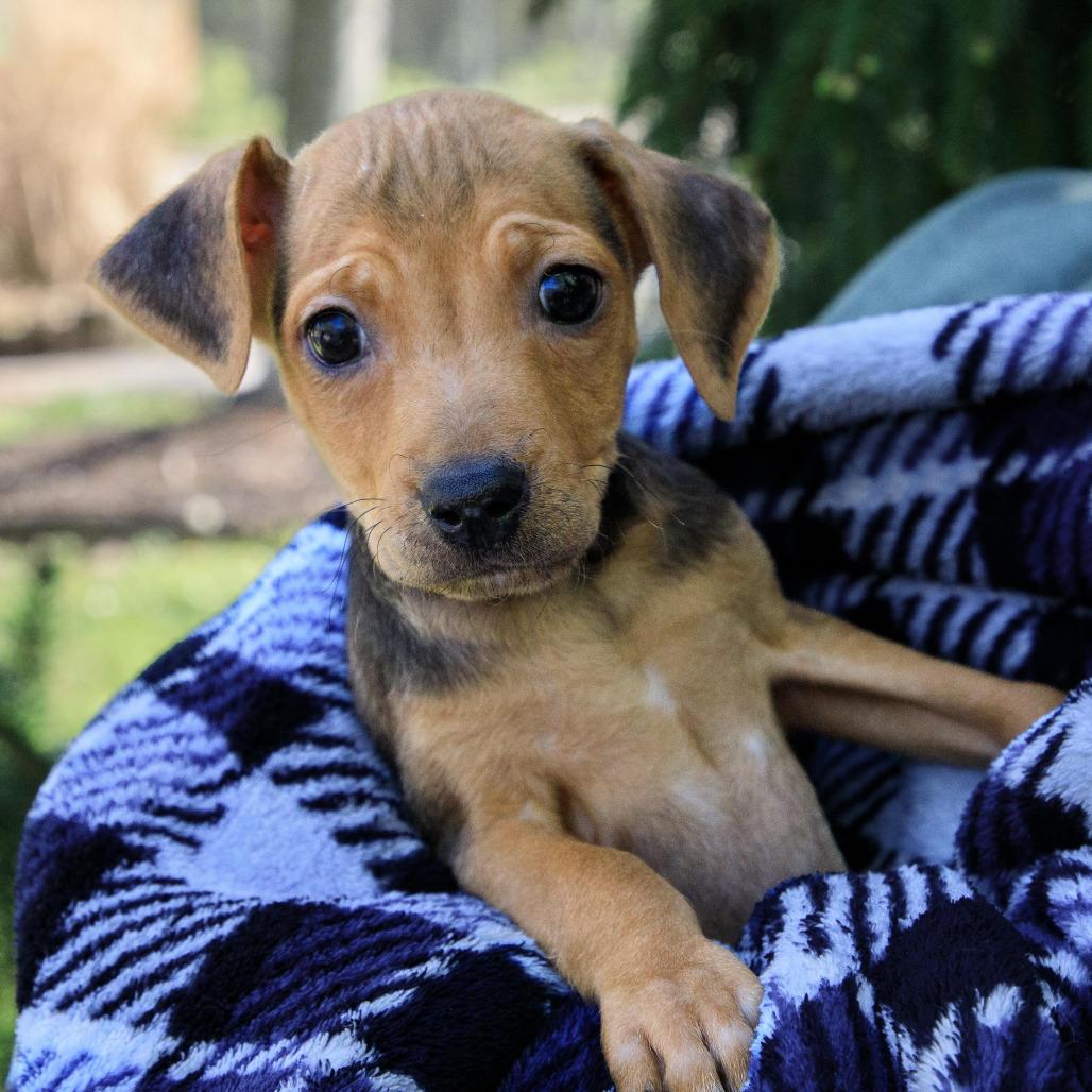 Appt Pending - Ledger