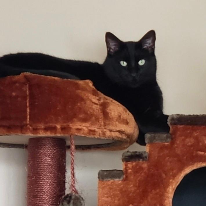 Oliver
