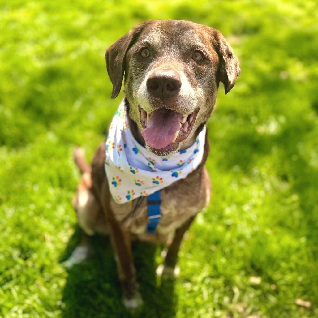 Barkley