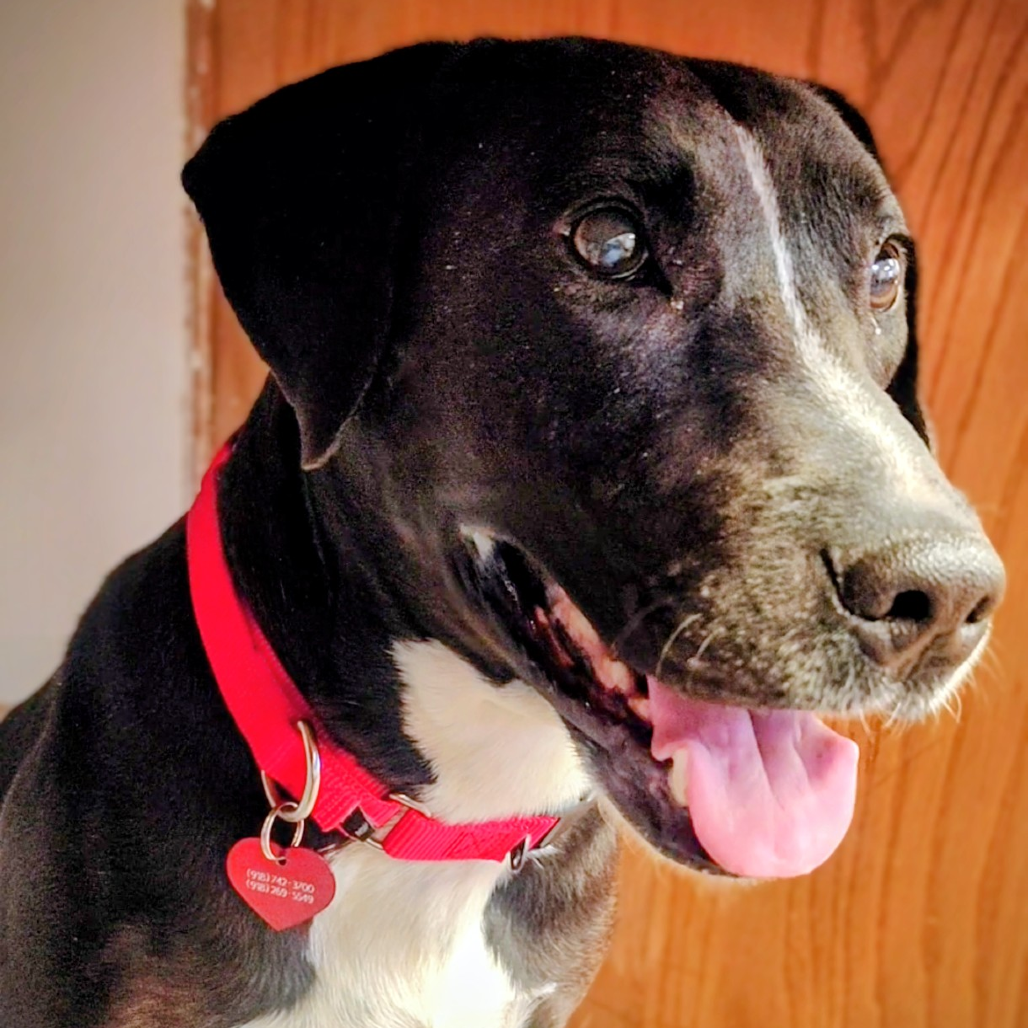 Coco