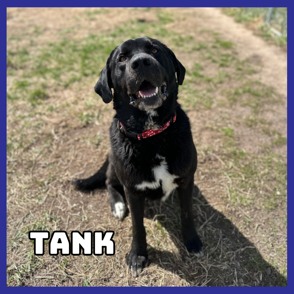 Tank