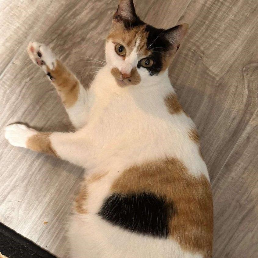 Chloe