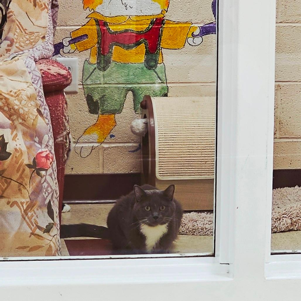 Jinxy