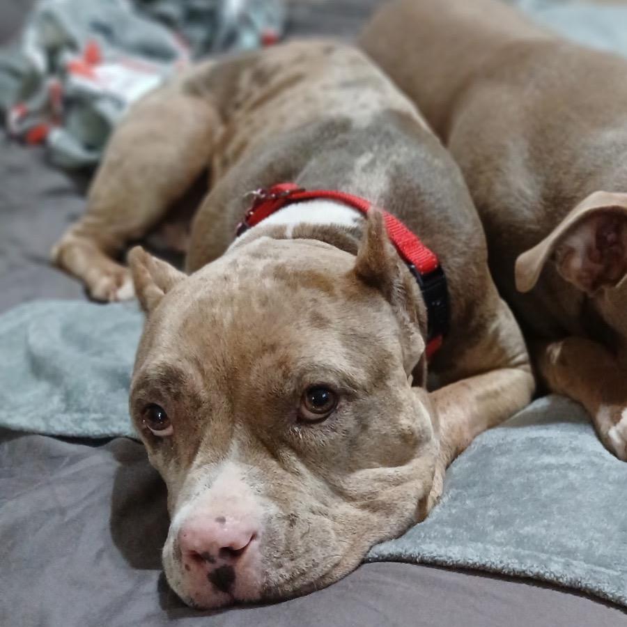 Kaia