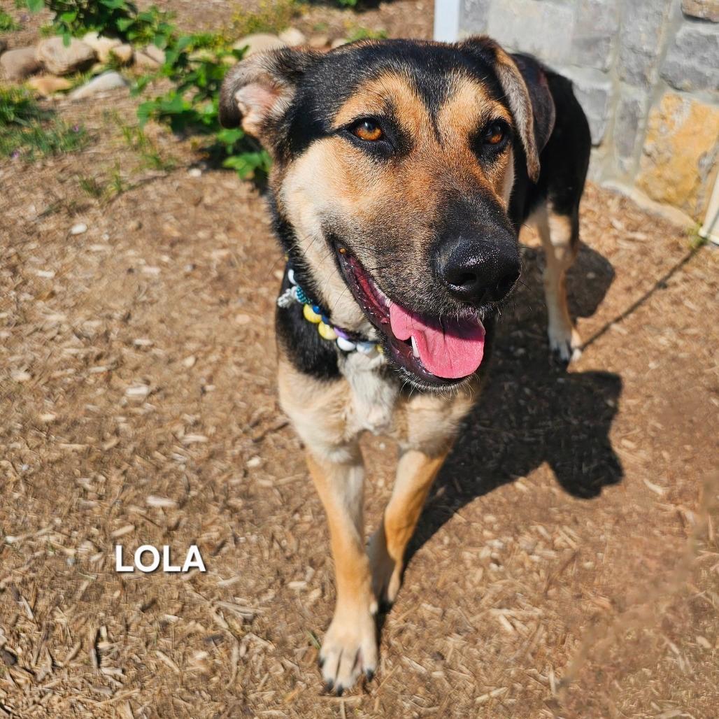 Lola