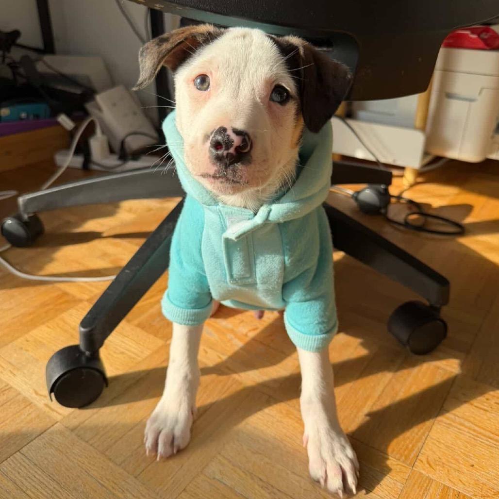 Reuben