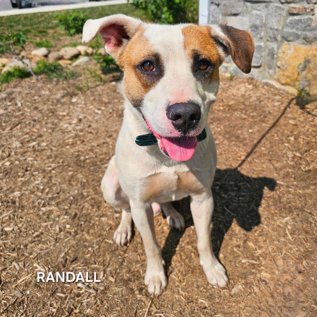 Randall