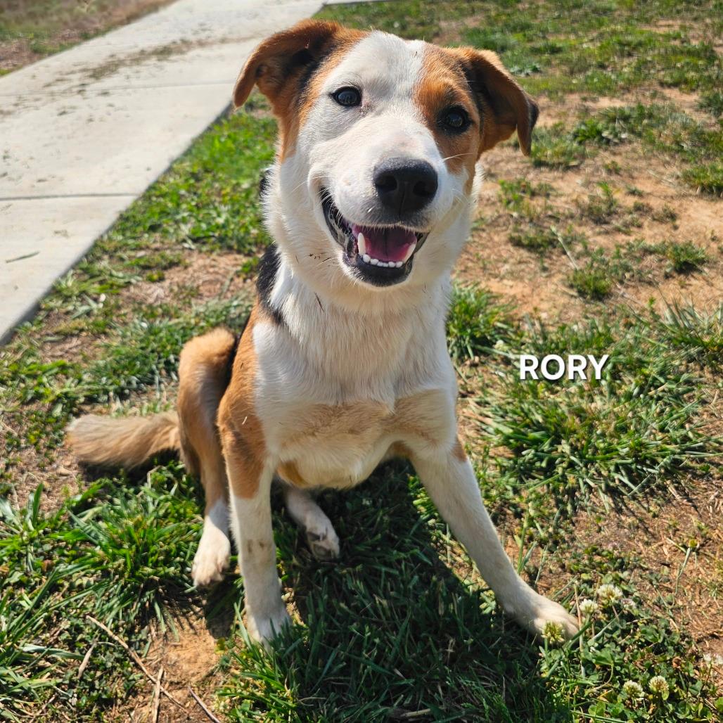 Rory