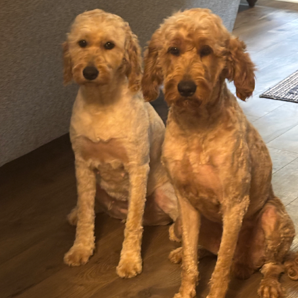 Sadie & Penny