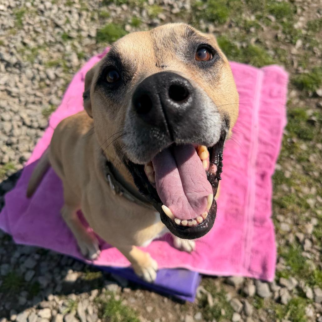 Penelope