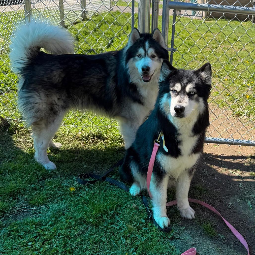 Alexi w/ Shakira *Fee Waived* - See our Video!