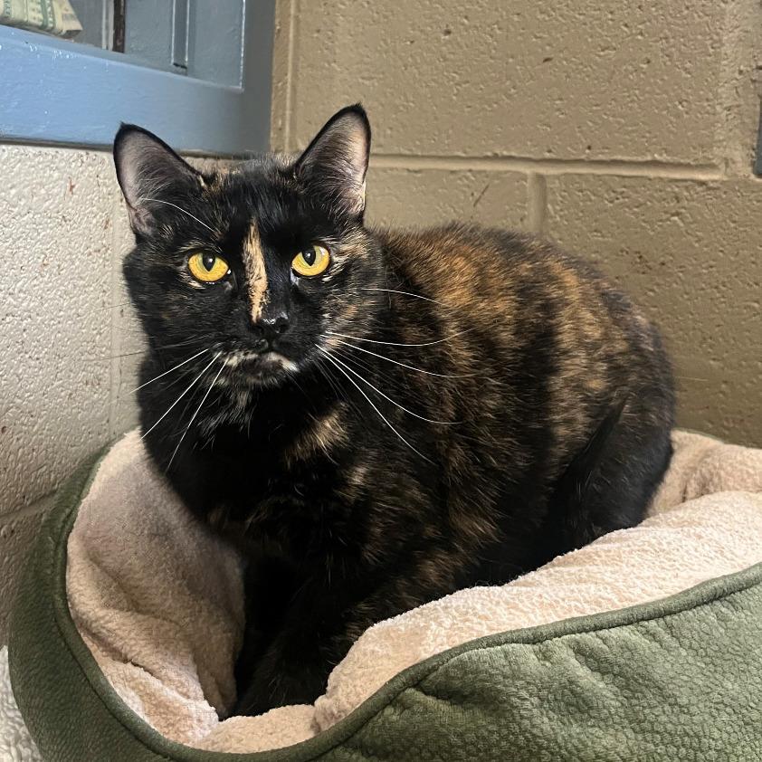 Sabrina