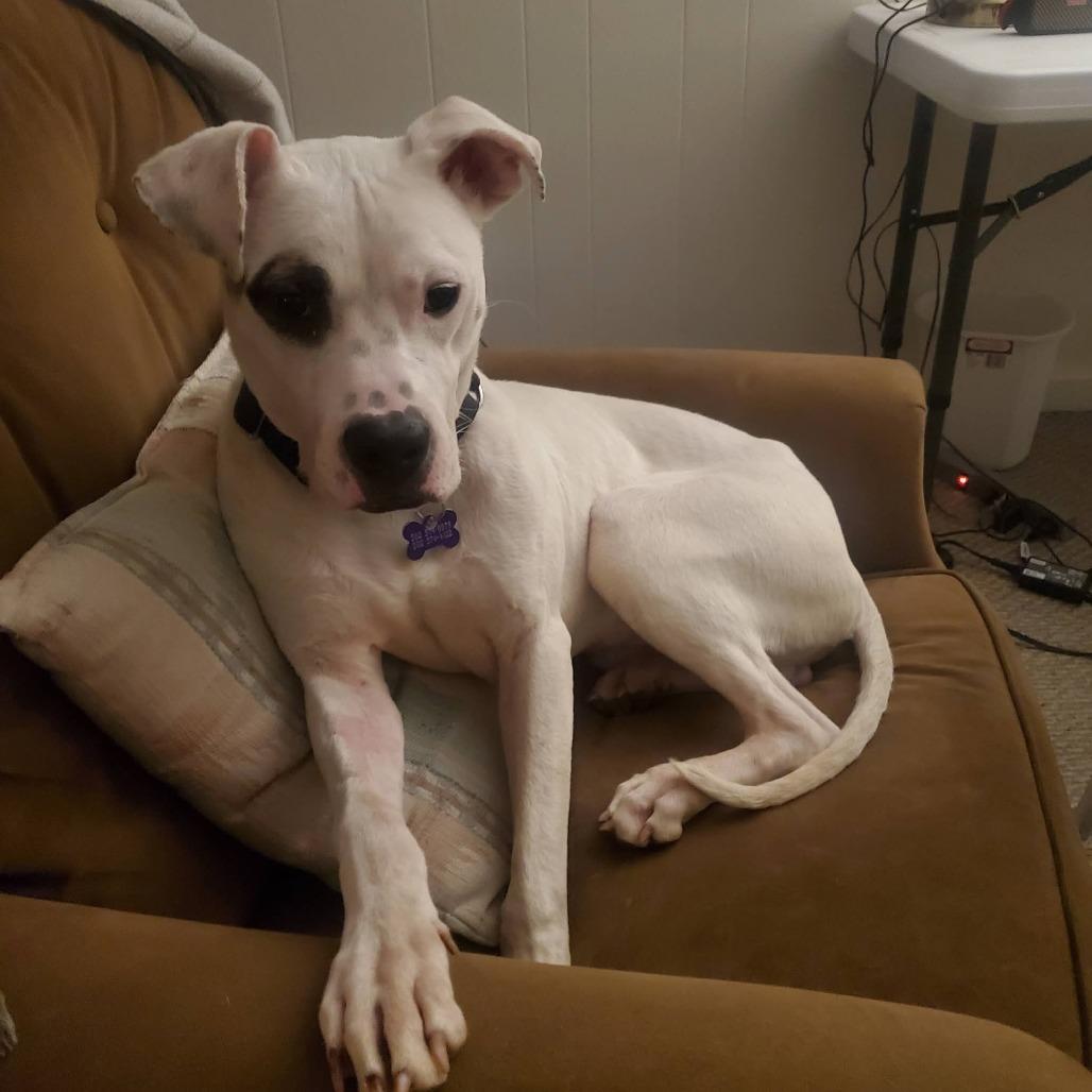 PETEY