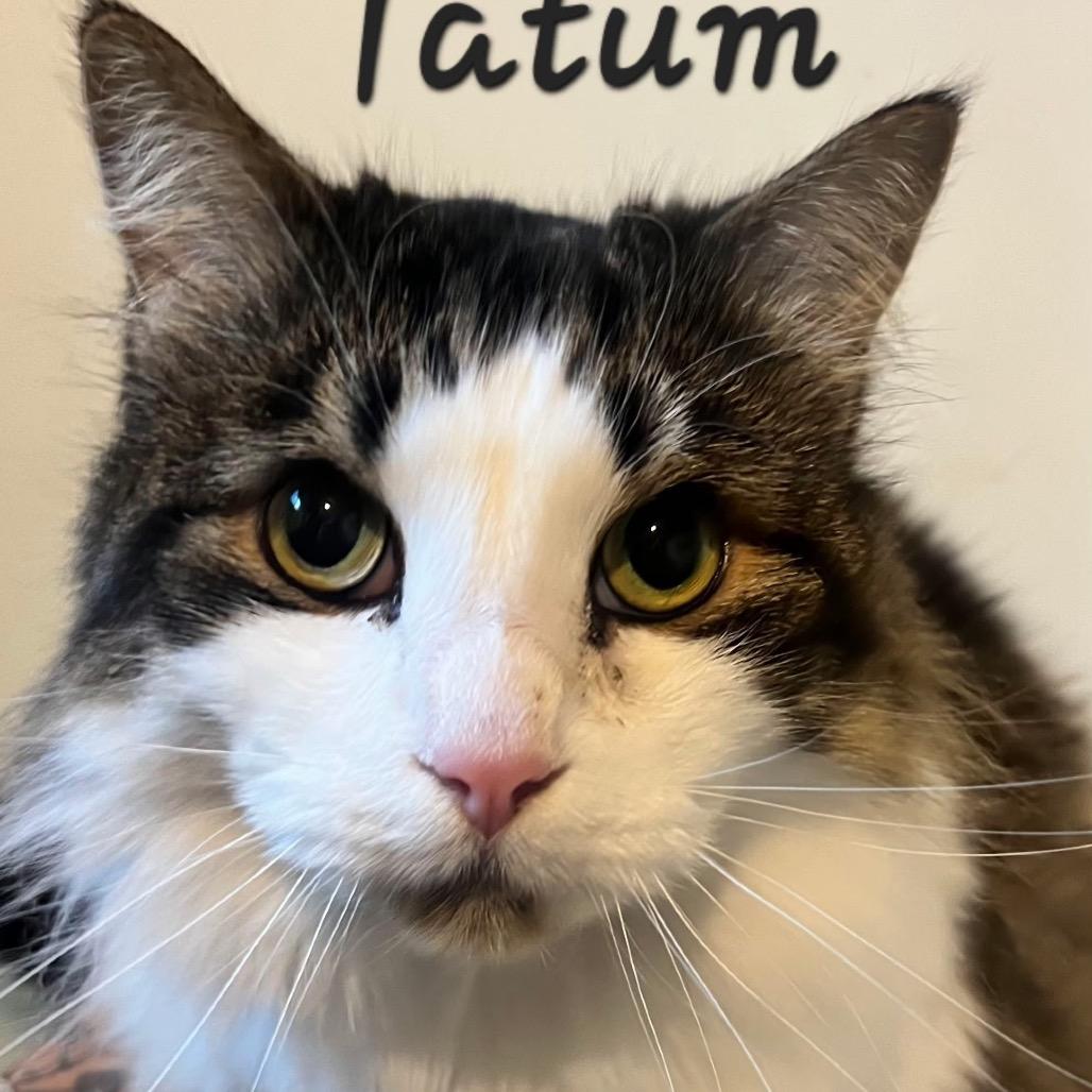 Tatum