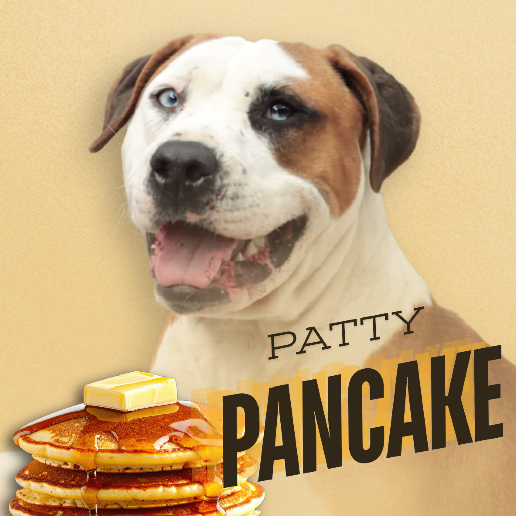 Patty Pancake