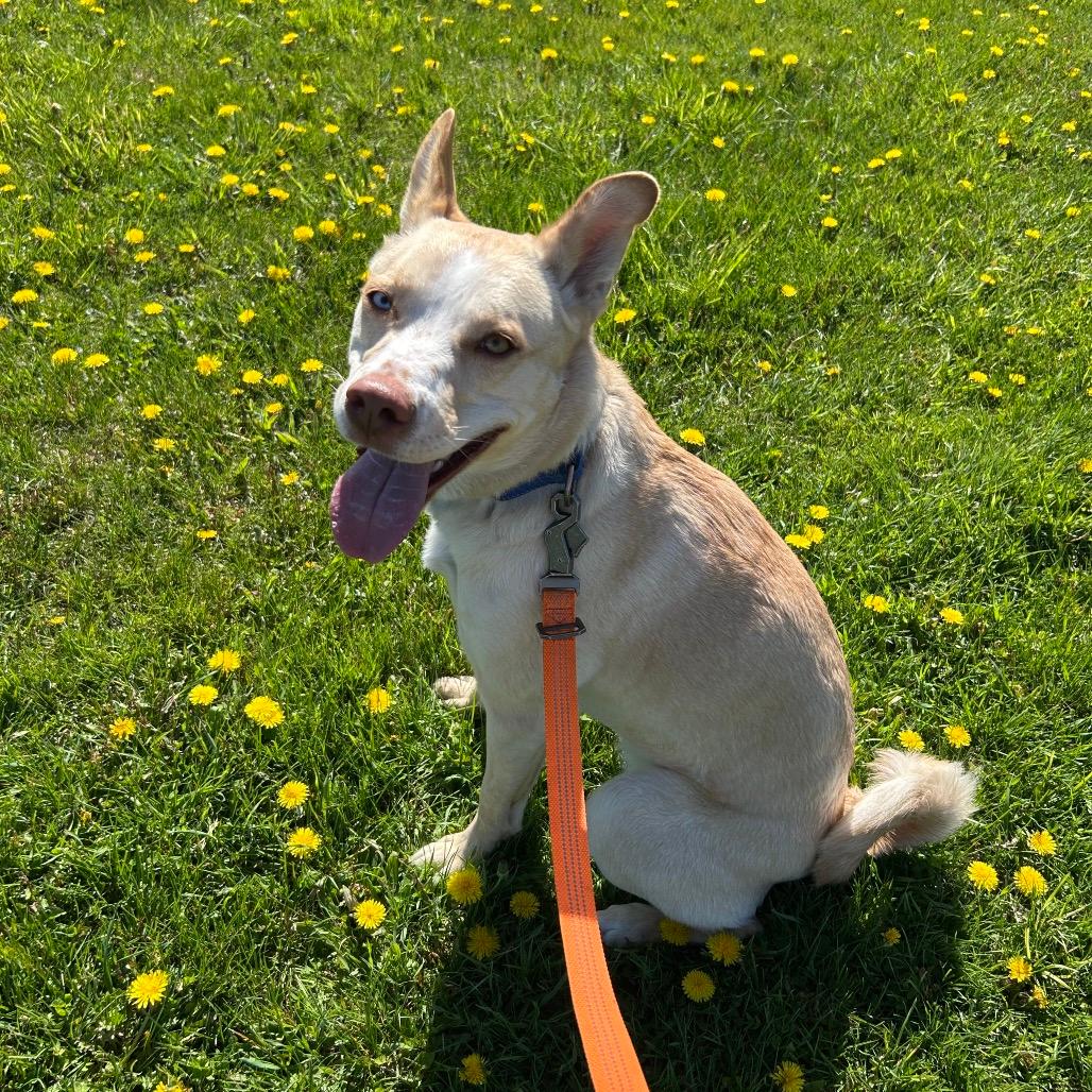 Molly