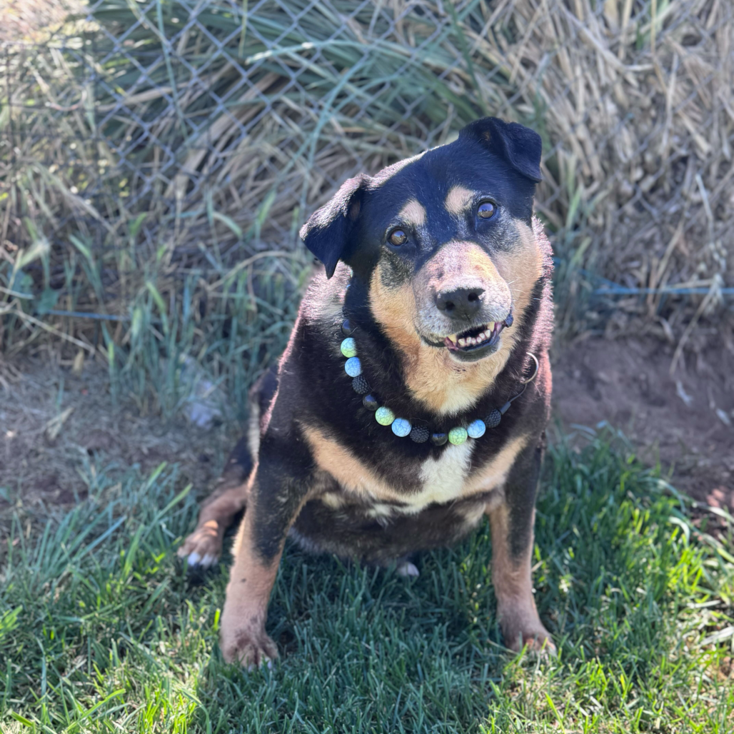 Ramona