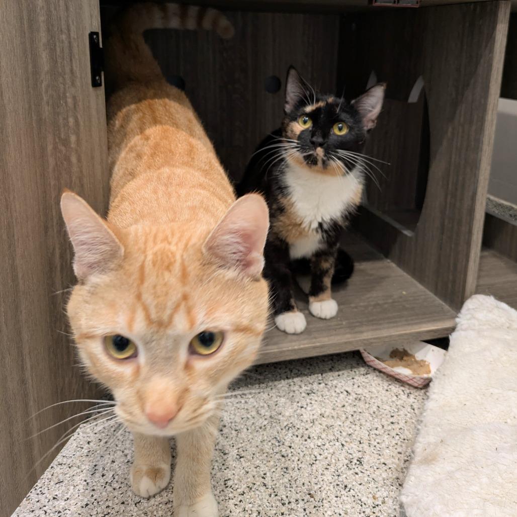 Xanthippe and Titus - We're a bonded pair!