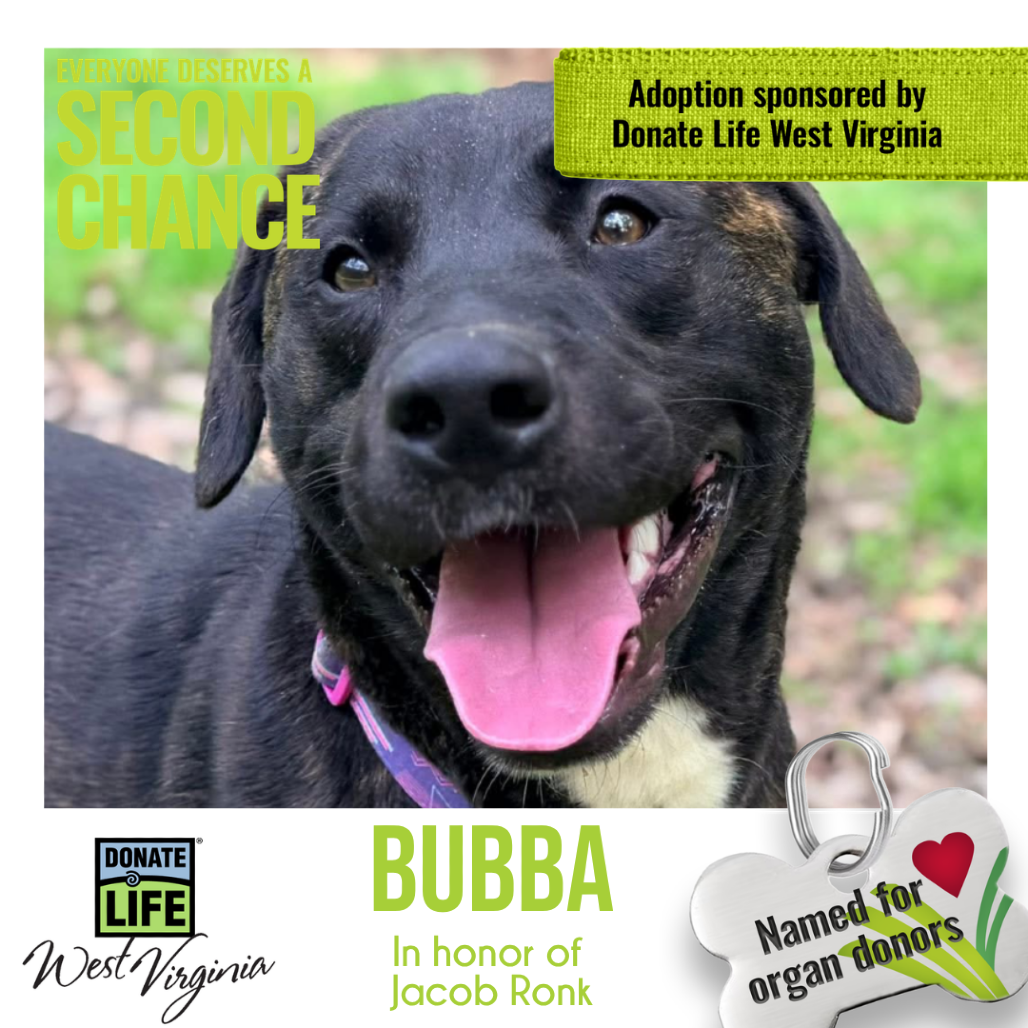 Bubba fka Bubblegum 