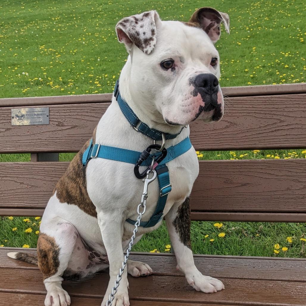 Milo