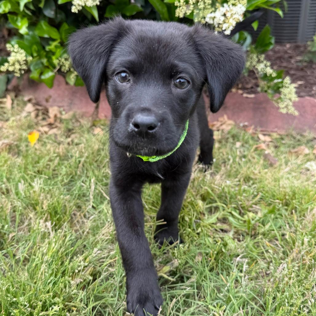 Rupert Columbus