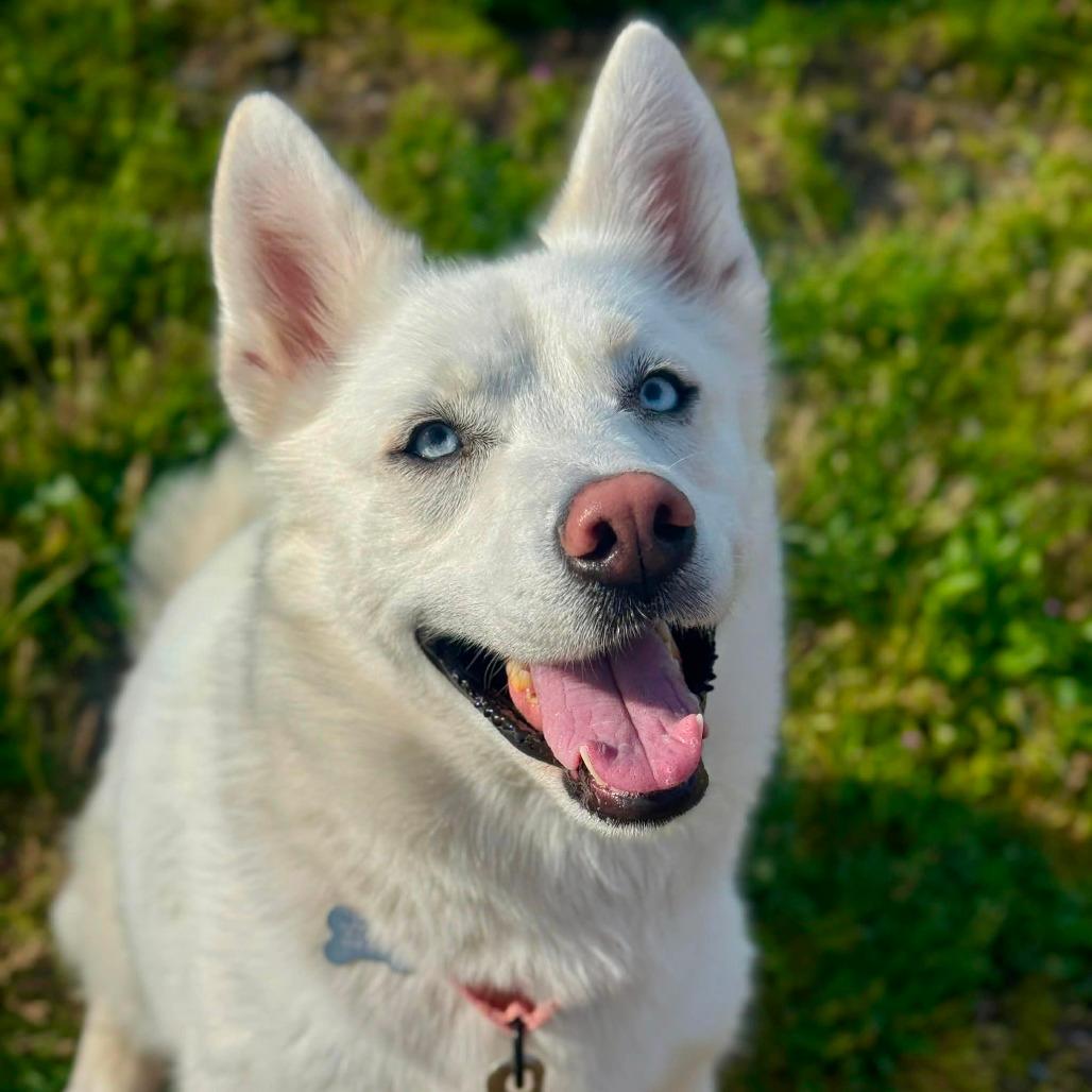 Tonya