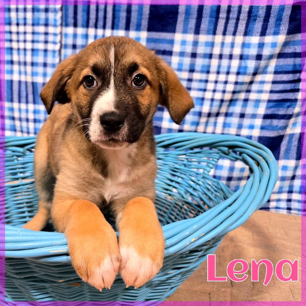 Lena