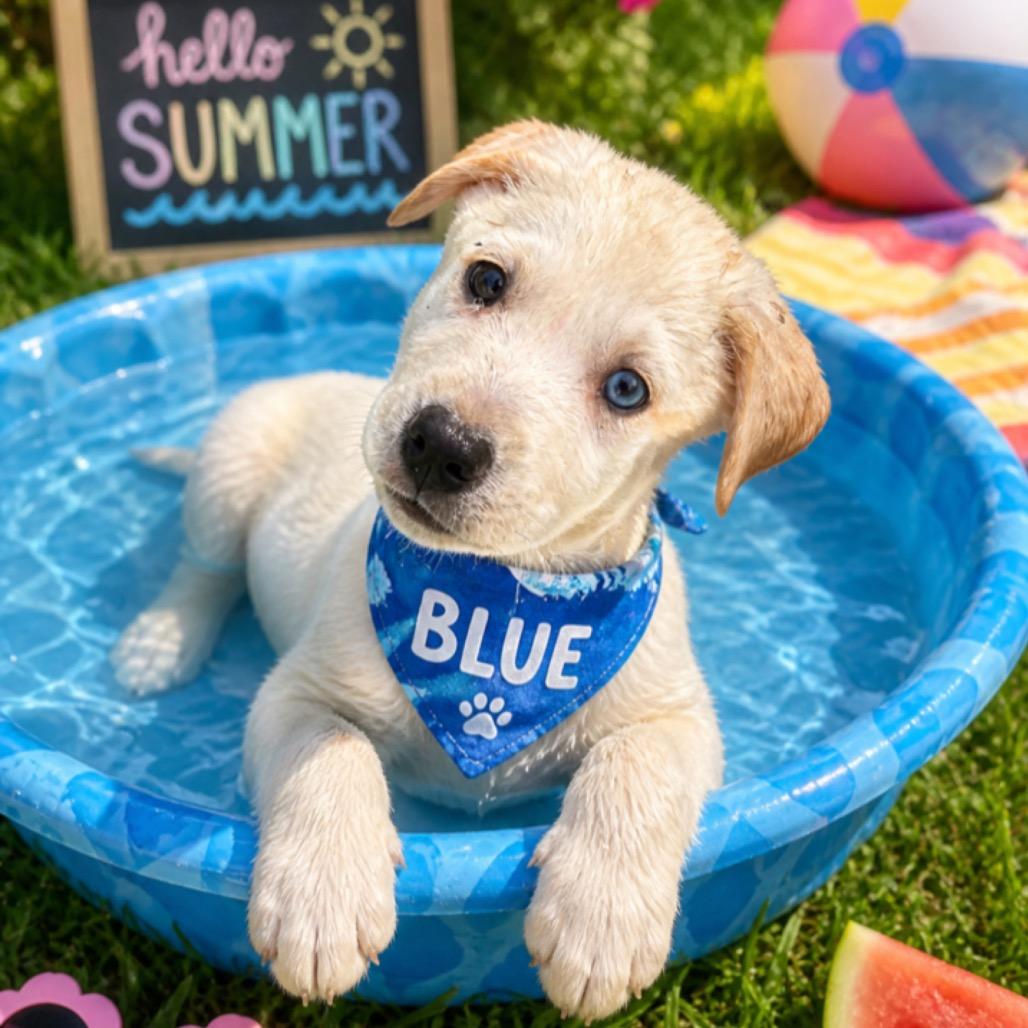 Blue