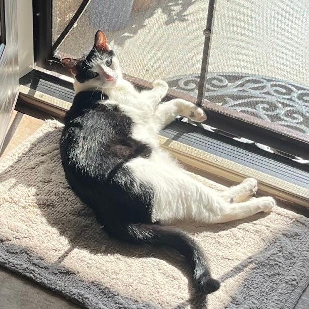 Leo