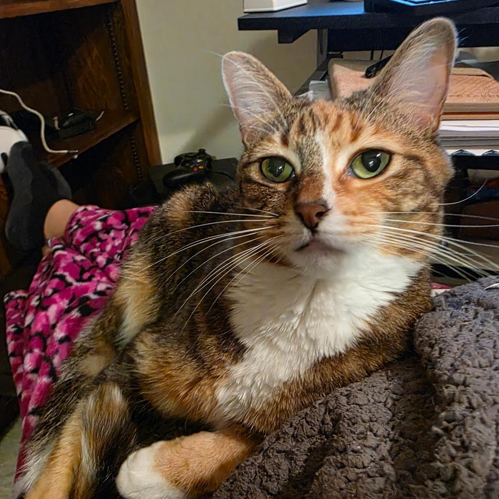 Gwendolyn