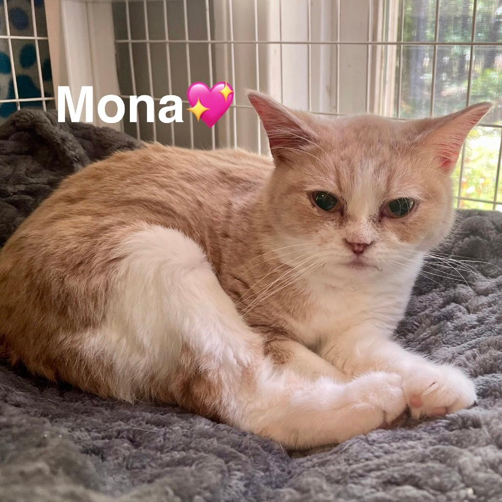 Mona