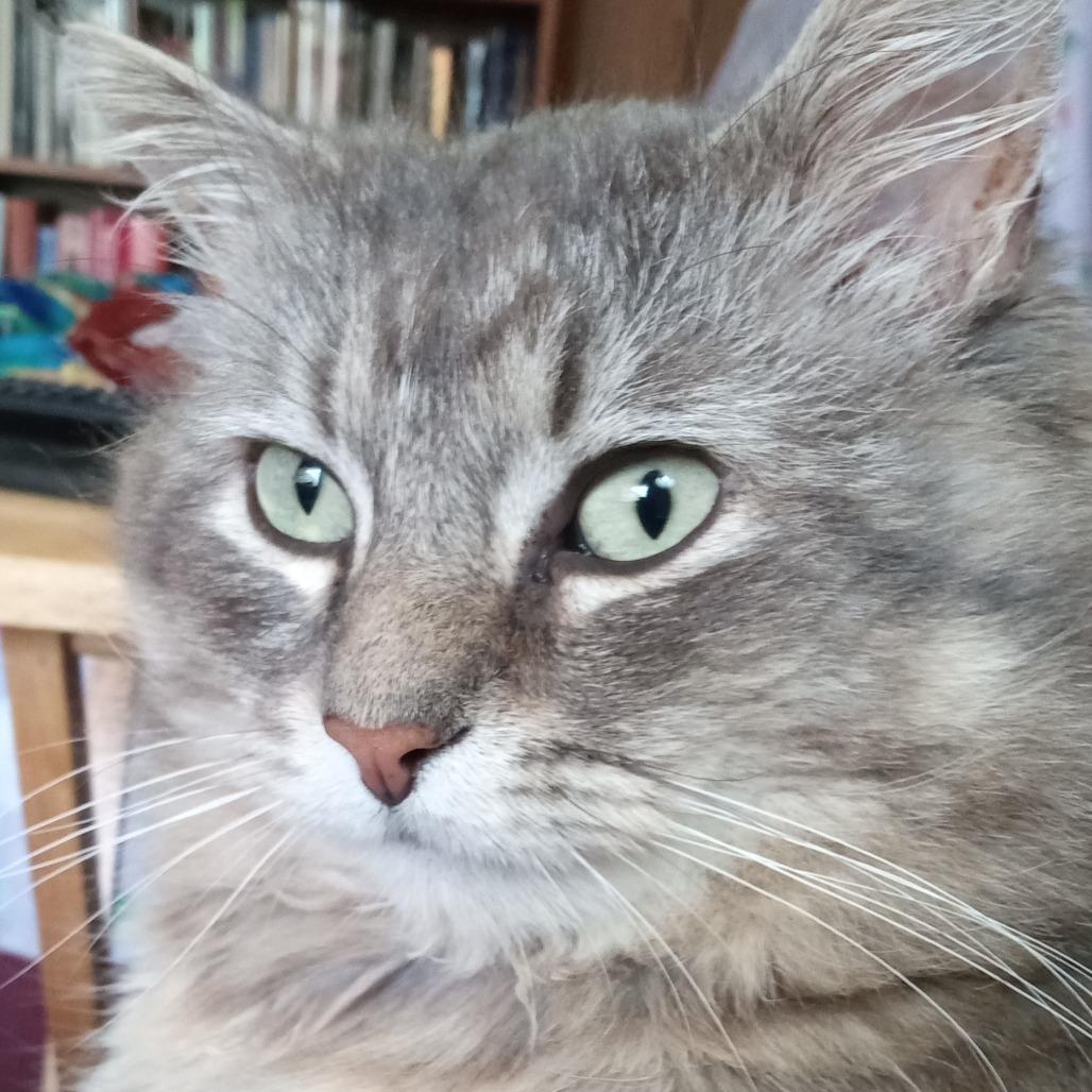 Smokey