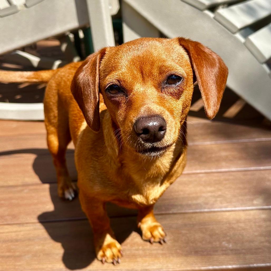Winnie
