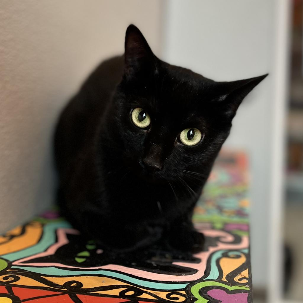 Tasha