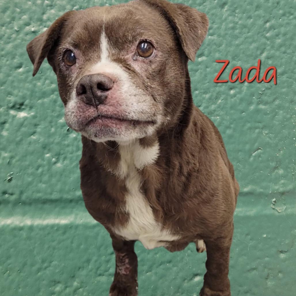 Zada