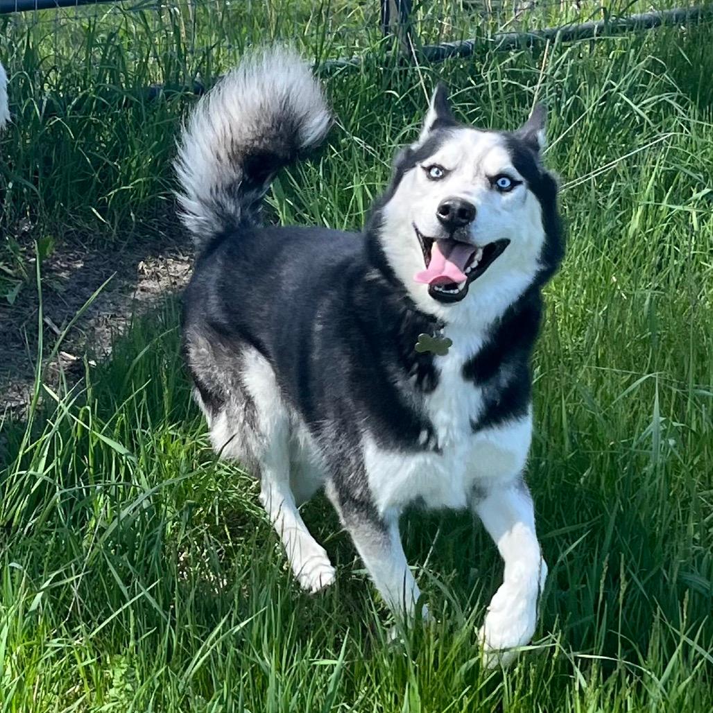 Max