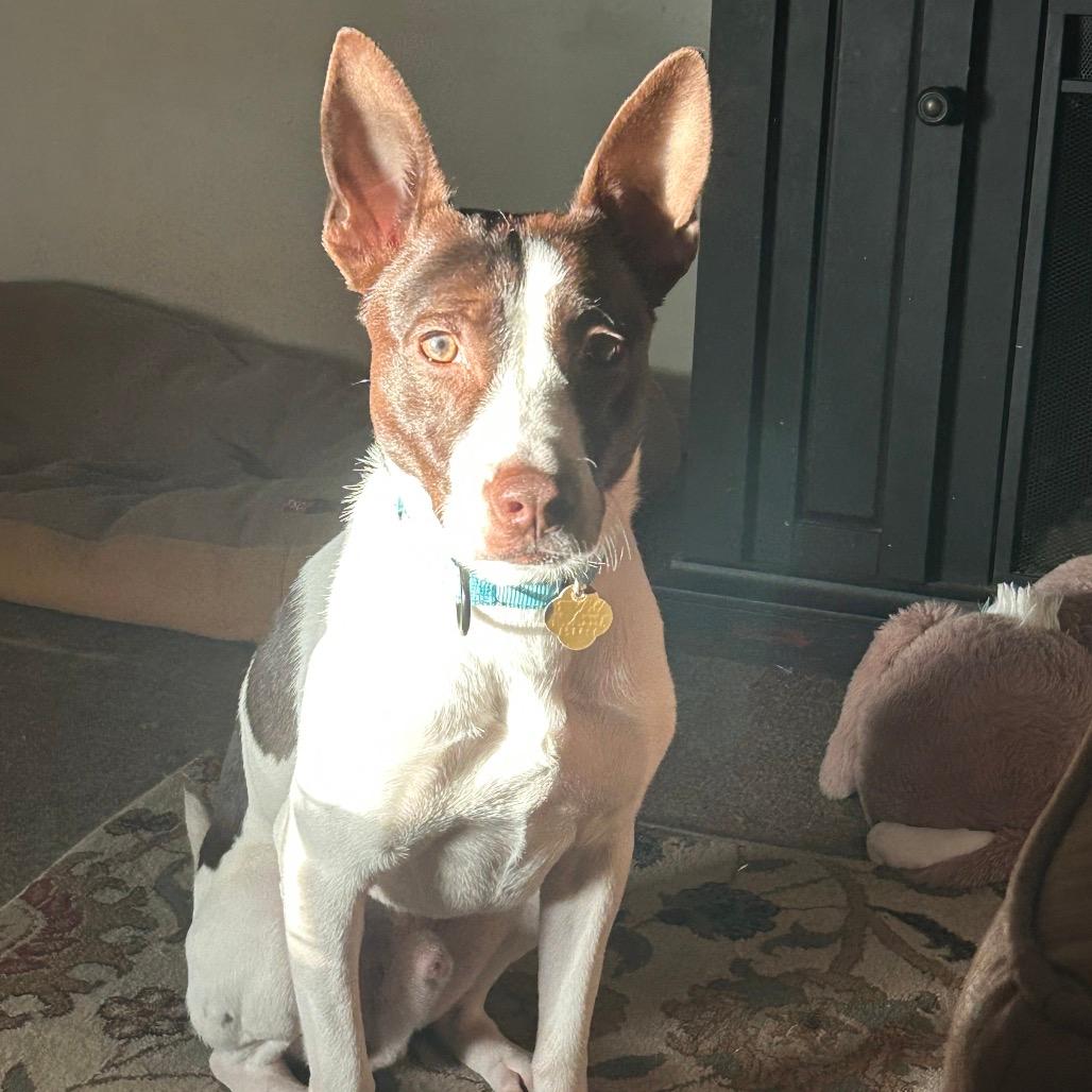 Mateo